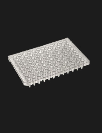 > </div>
<div class=